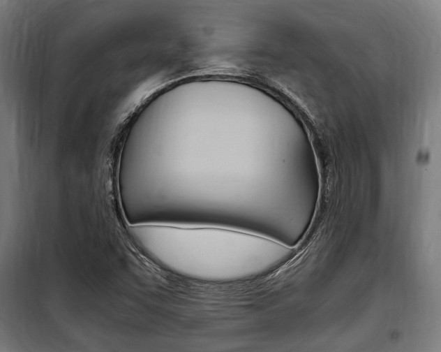 X0000100861455200806200826