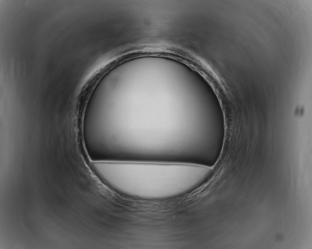 X0000100861456200806200826