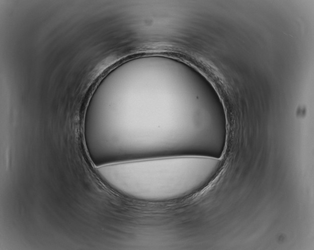 X0000100861457200806200826