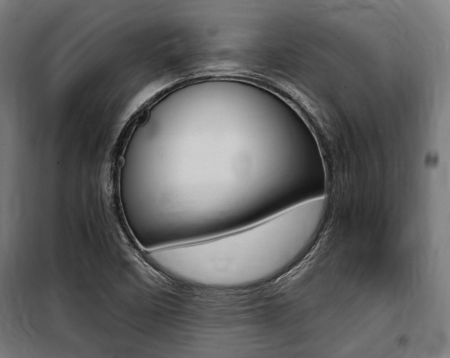 X0000100861458200806200826