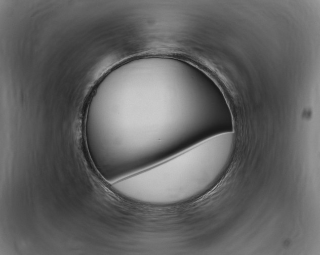 X0000100861459200806200826