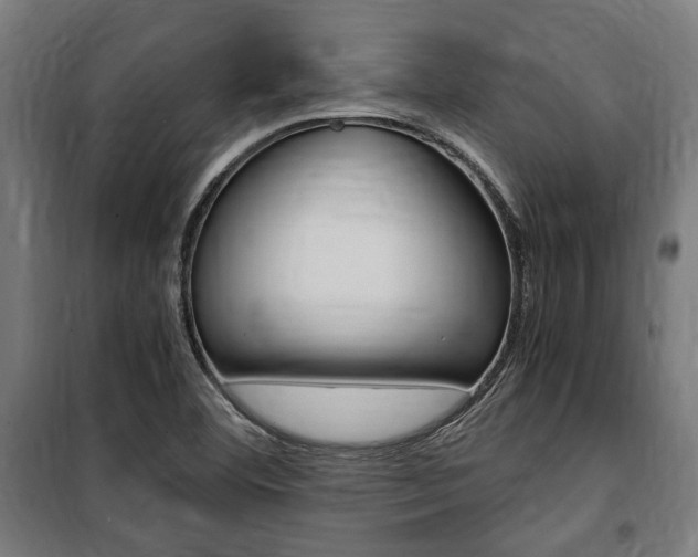 X0000100861460200806200826