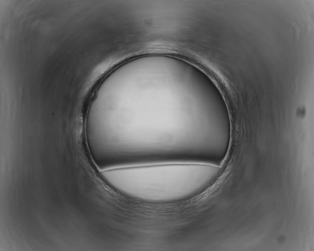 X0000100861461200806200826