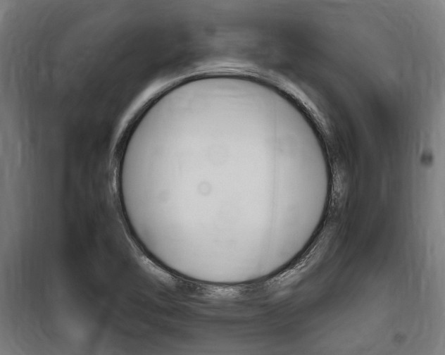 X0000100861462200806200826