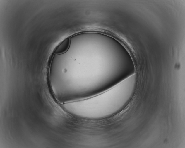 X0000100861463200806200826