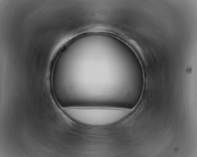 X0000100861464200806200826