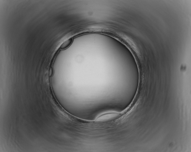 X0000100861465200806200826