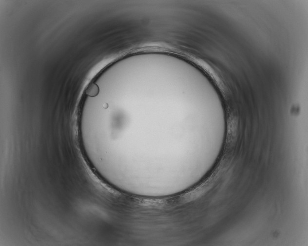 X0000100861466200806200826