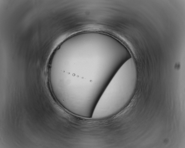 X0000100861467200806200826