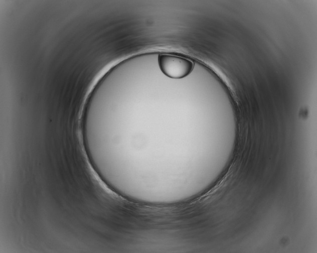 X0000100861468200806200826