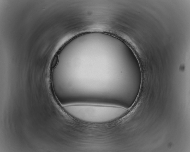 X0000100861469200806200826