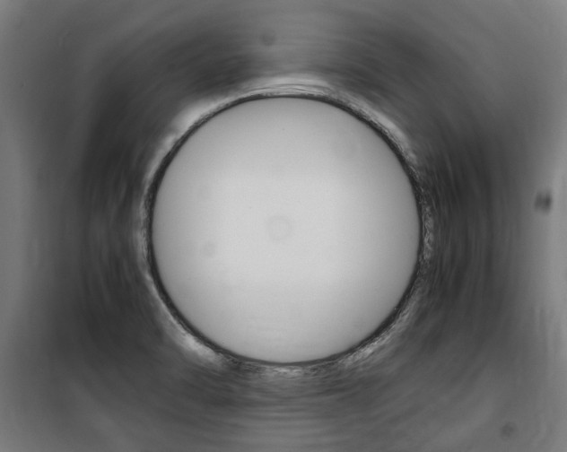 X0000100861470200806200826
