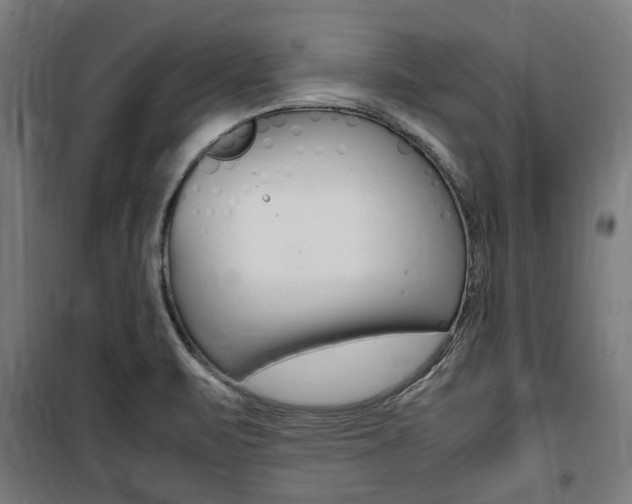 X0000100861471200806200826