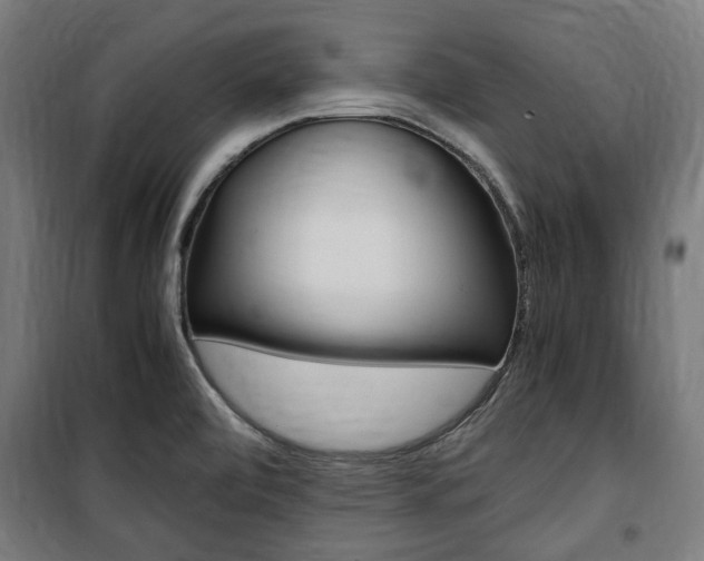X0000100861472200806200826