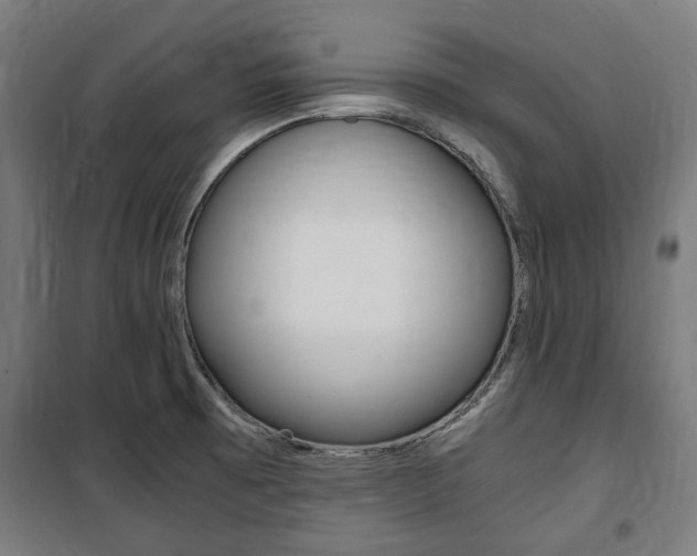 X0000100861473200806200826