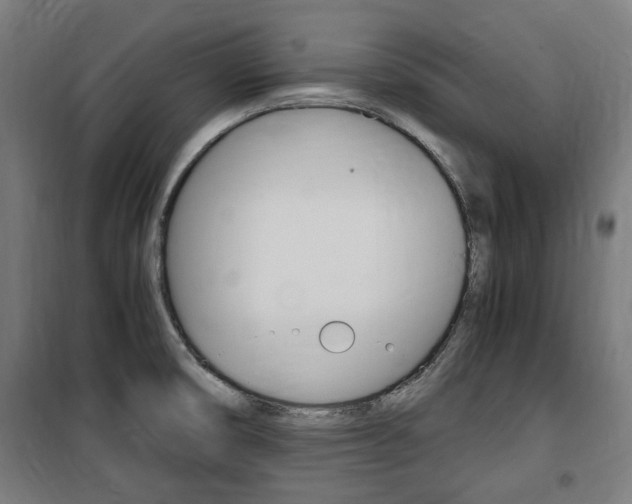 X0000100861474200806200826