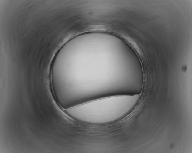 X0000100861475200806200826