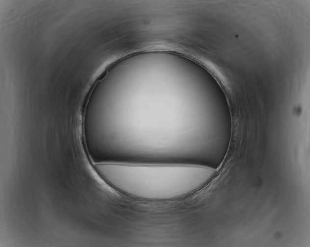 X0000100861476200806200826
