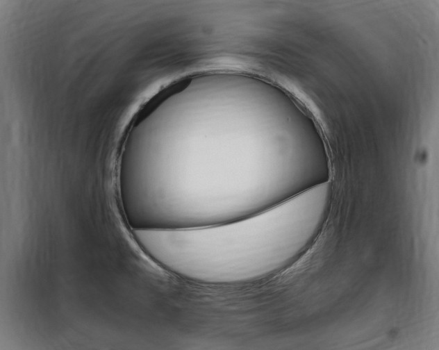 X0000100861477200806200826