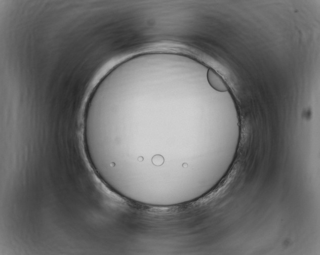 X0000100861478200806200826