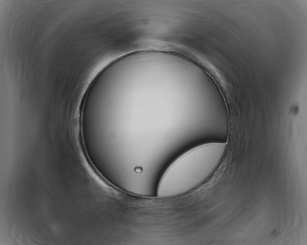X0000100861479200806200826