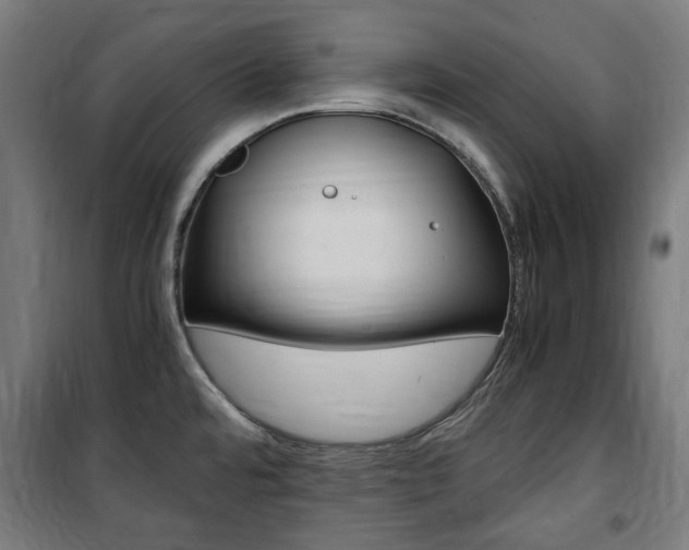 X0000100861480200806200826
