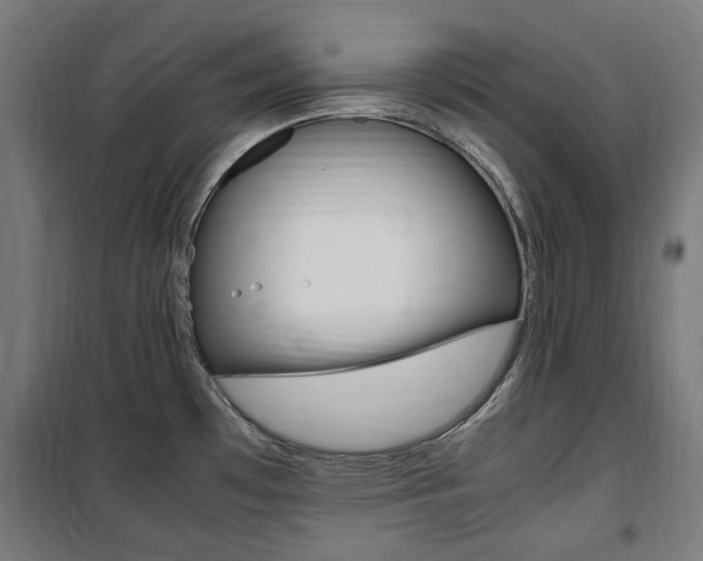 X0000100861481200806200826