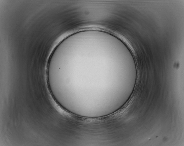 X0000100861482200806200826