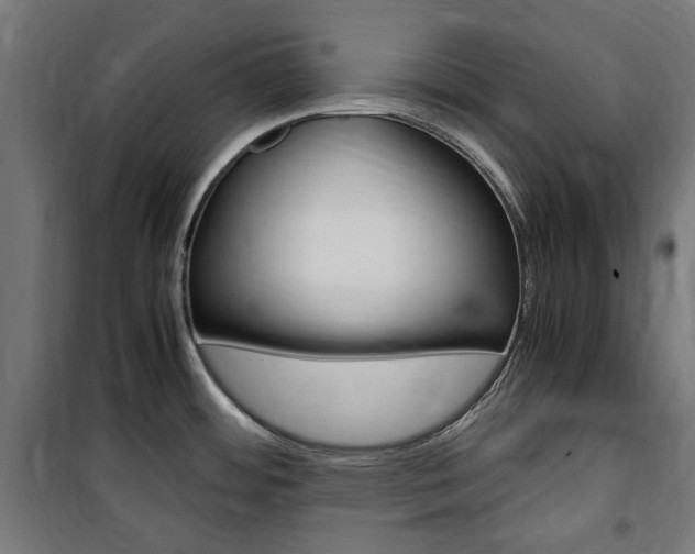 X0000100861484200806200826