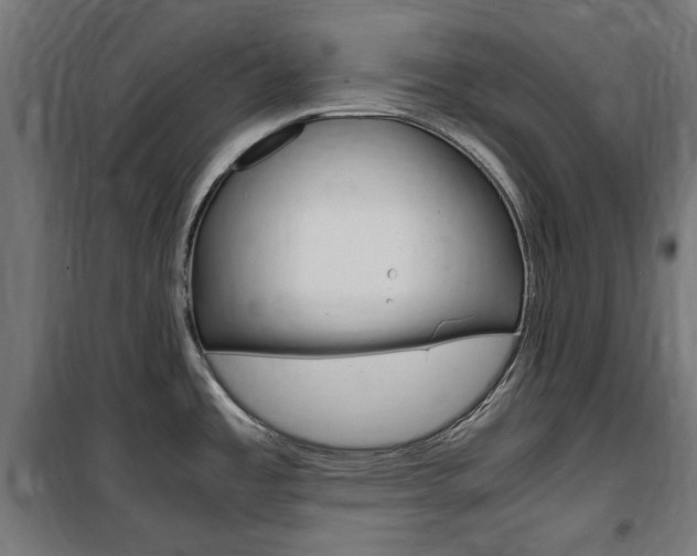 X0000100861485200806200825