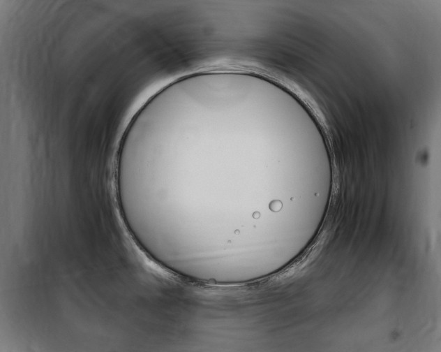 X0000100861486200806200825