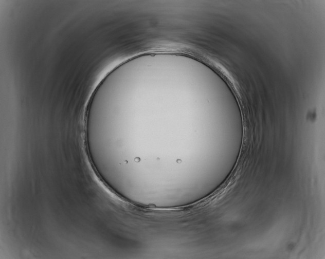 X0000100861487200806200825