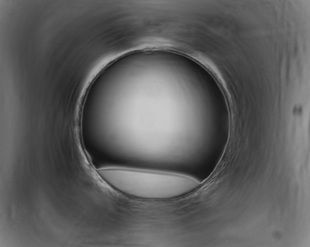 X0000100861488200806200825