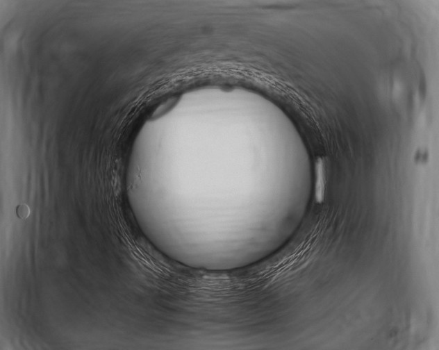 X0000100861491200806200825