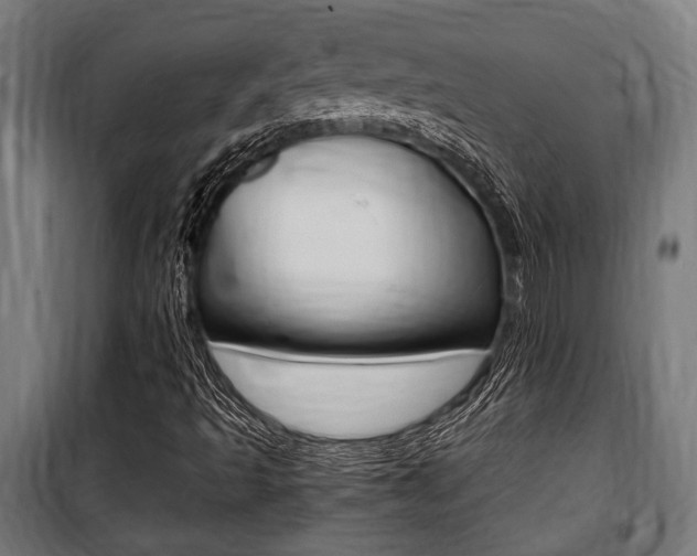 X0000100861493200806200825