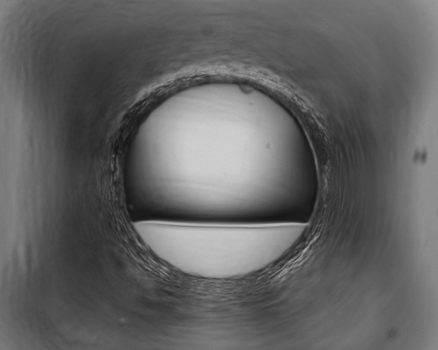 X0000100861494200806200825