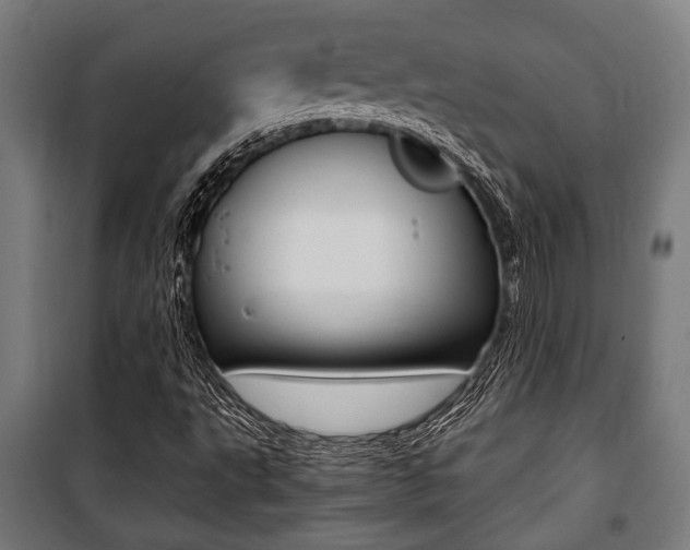 X0000100861495200806200825