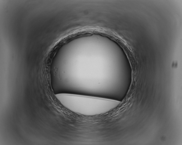 X0000100861496200806200825