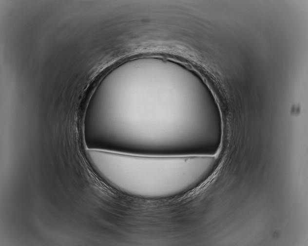 X0000100861497200806200825