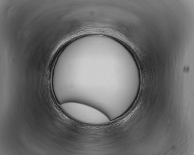 X0000100861498200806200825