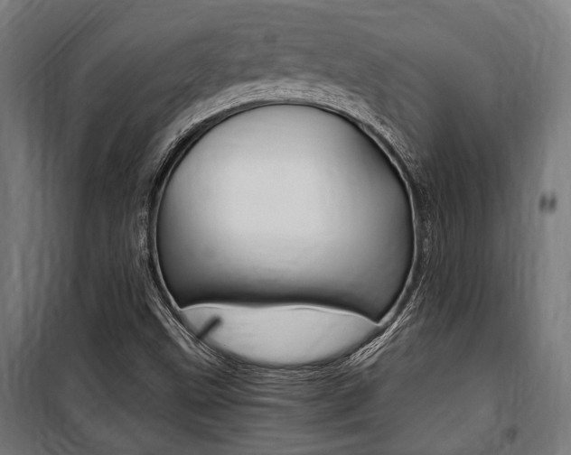 X0000100861499200806200825