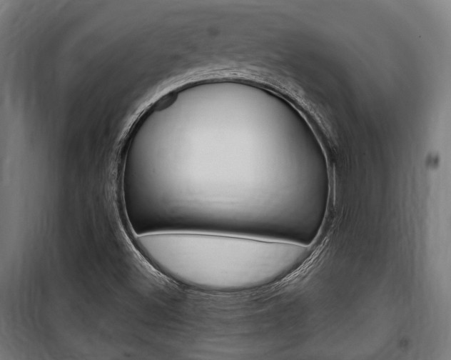 X0000100861500200806200825