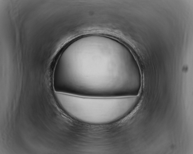 X0000100861501200806200825