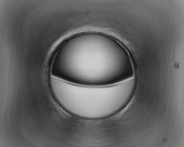 X0000100861502200806200825