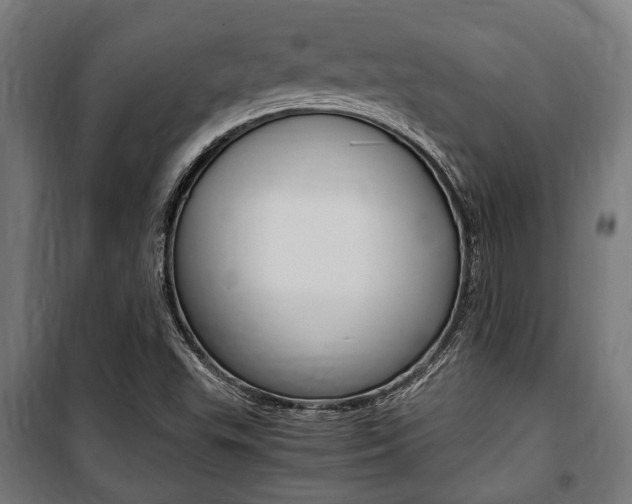 X0000100861503200806200825