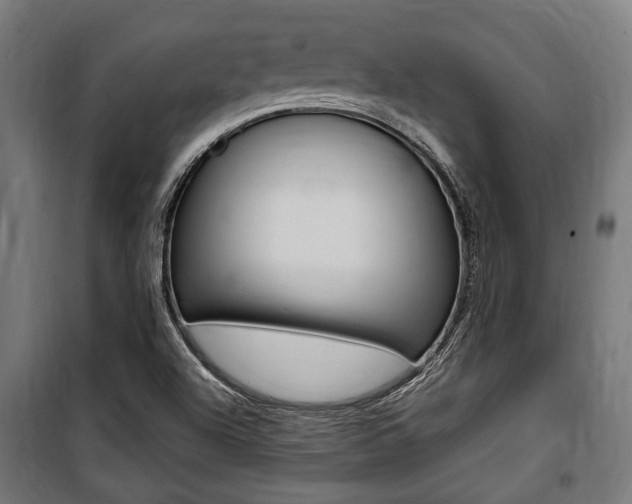 X0000100861504200806200825