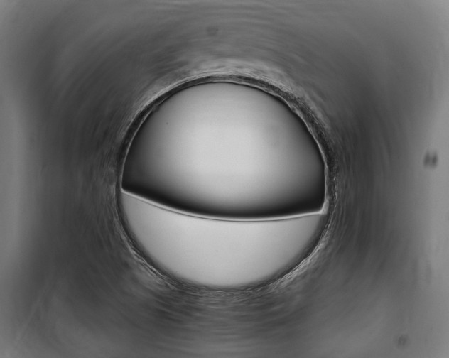 X0000100861505200806200825