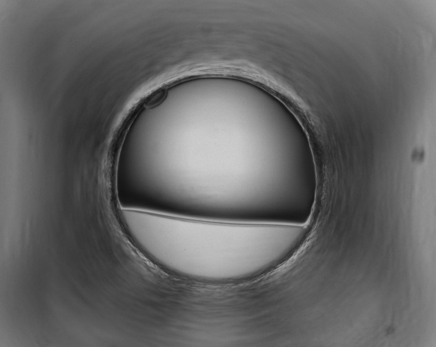 X0000100861506200806200825