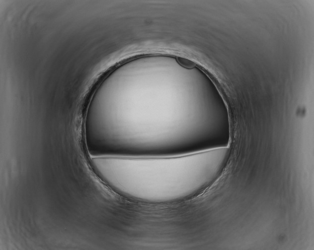 X0000100861507200806200825