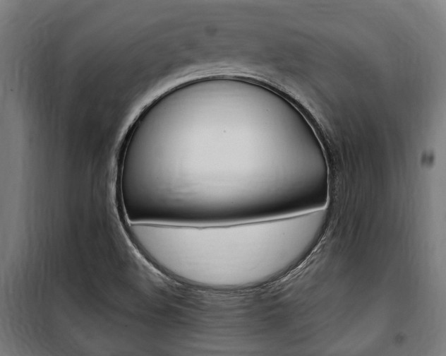 X0000100861508200806200825